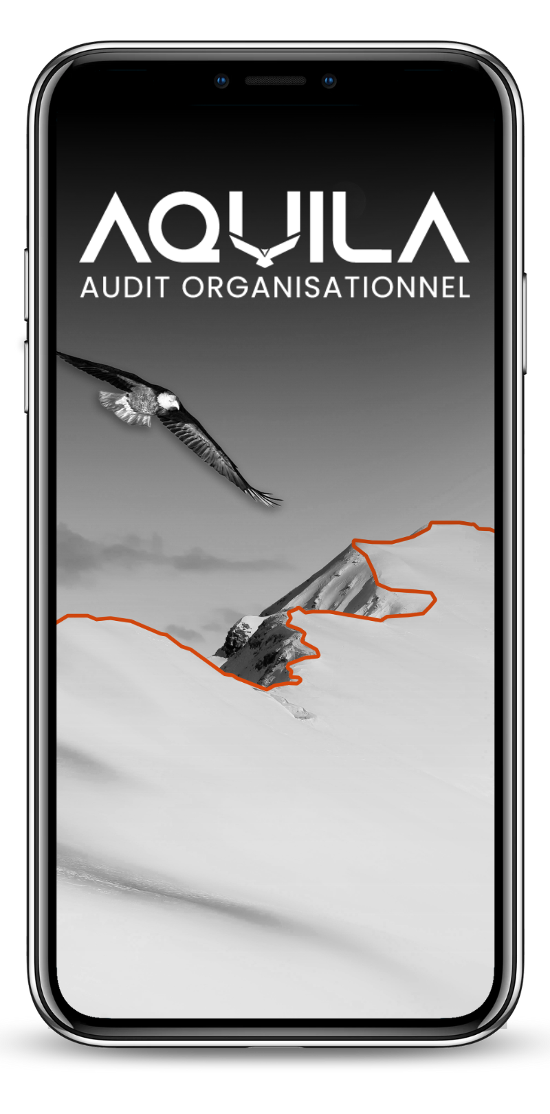 audit smq dispositifs médicaux aquila